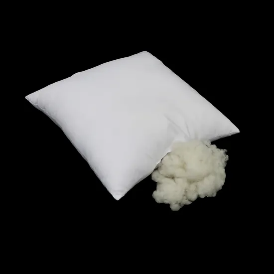 2022 Modern Wholesale Multiple Sizes Polyester Pillow /Cushion Form Insert
