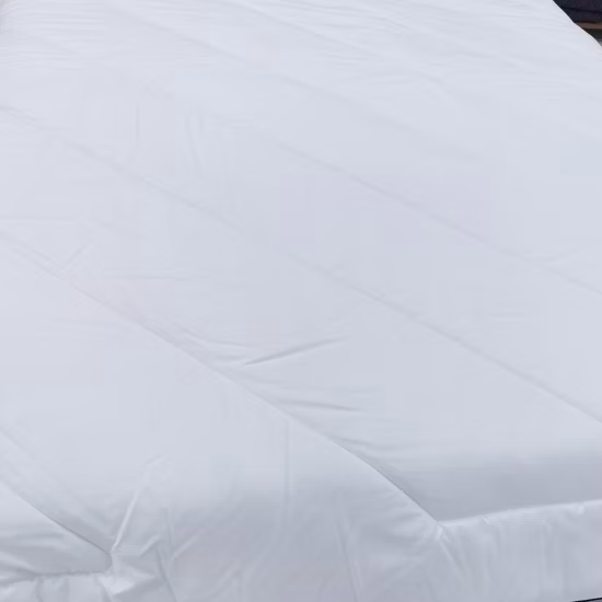 Winter White Microfiber Queen Size Polyester Filling Quilted Duvet Quilt