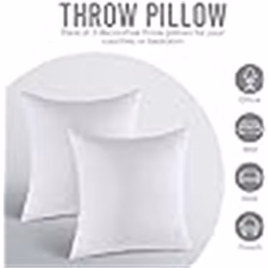 2022 Modern Wholesale Multiple Sizes Polyester Pillow /Cushion Form Insert