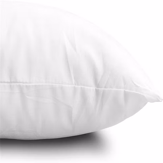 2022 Modern Wholesale Multiple Sizes Polyester Pillow /Cushion Form Insert