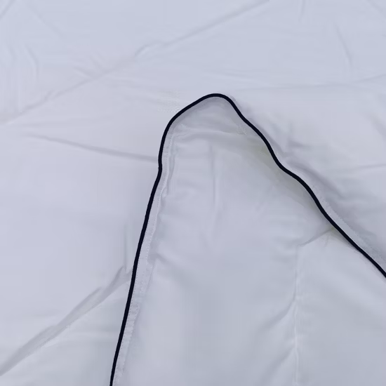 Winter White Microfiber Queen Size Polyester Filling Quilted Duvet Quilt