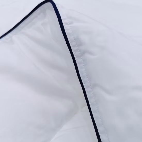 Winter White Microfiber Queen Size Polyester Filling Quilted Duvet Quilt