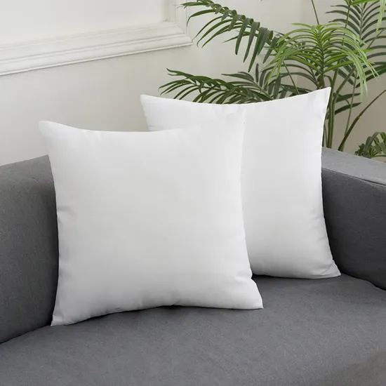 Cheap Wholesale Down Pillow Insert