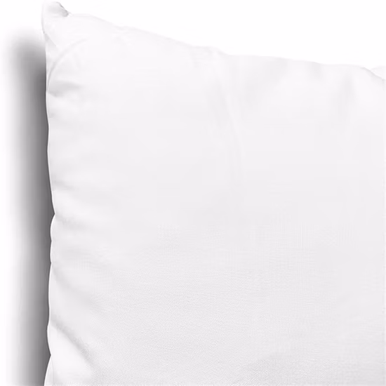 2022 Modern Wholesale Multiple Sizes Polyester Pillow /Cushion Form Insert