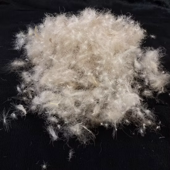 Used Recycled 800 Filled Power Replacement Pillow 85% Washed White Duck Down