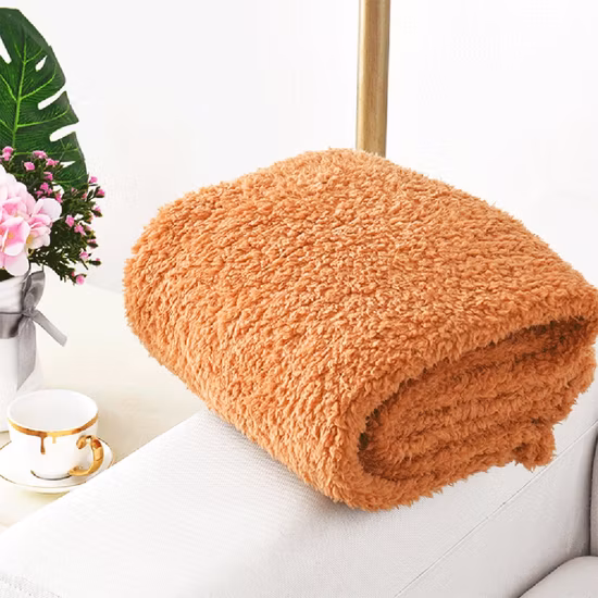 Wholesale Pet Product Microfiber Fleece Double Sided Pet Blanket for Dog