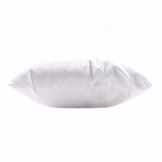 Cheap Wholesale Down Pillow Insert
